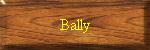 Bally Hardware