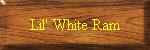 Lil' White Ram
