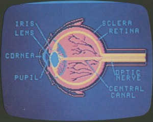 Eye Diagram
