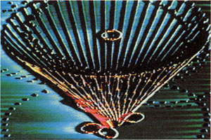 Frozen Sun Cones By Joanne Culver